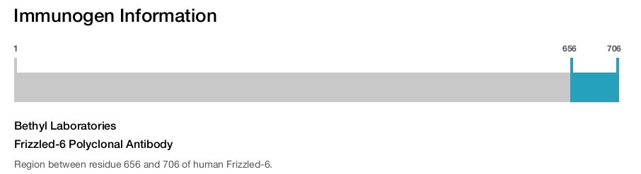 Frizzled-6 Polyclonal Antibody