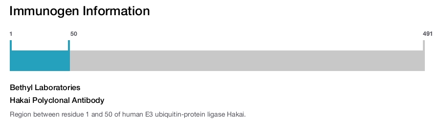 Hakai Polyclonal Antibody