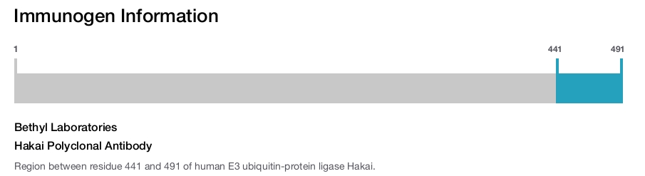 Hakai Polyclonal Antibody