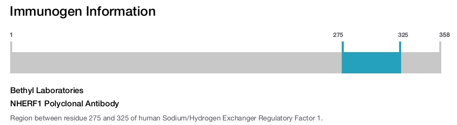 NHERF1 Polyclonal Antibody