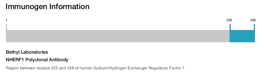 NHERF1 Polyclonal Antibody