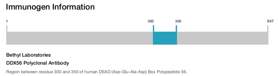 DDX56 Polyclonal Antibody