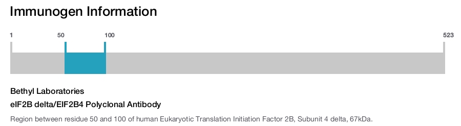 eIF2B delta/EIF2B4 Polyclonal Antibody