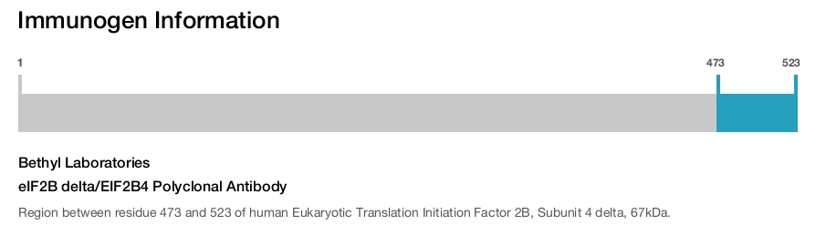 eIF2B delta/EIF2B4 Polyclonal Antibody