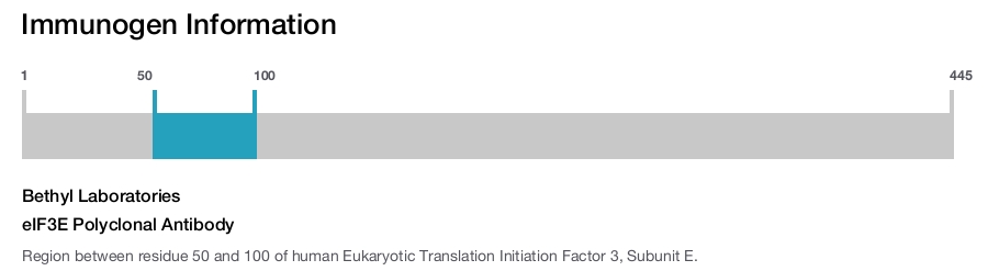 eIF3E Polyclonal Antibody