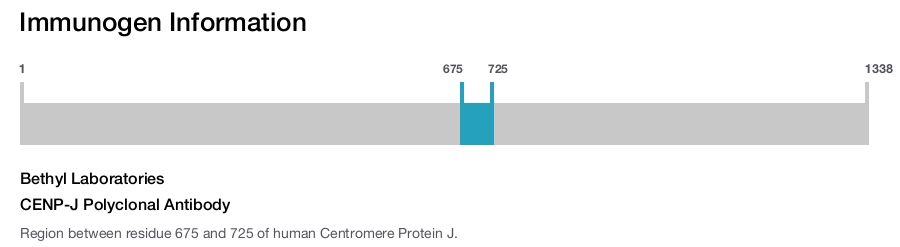 CENP-J Polyclonal Antibody