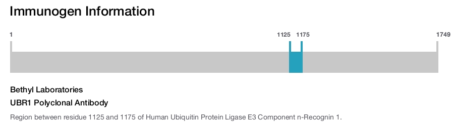 UBR1 Polyclonal Antibody