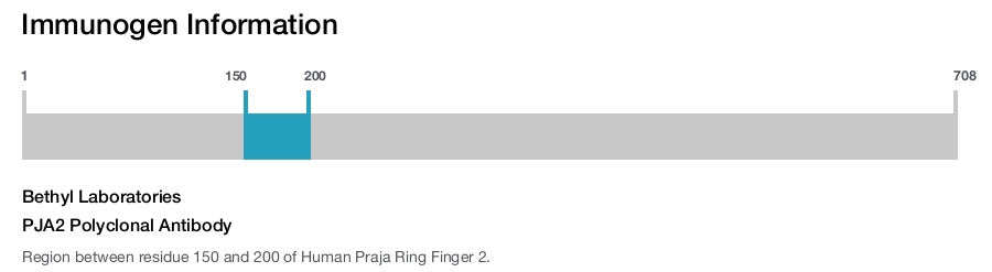 PJA2 Polyclonal Antibody