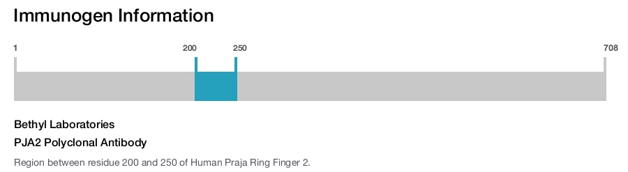 PJA2 Polyclonal Antibody