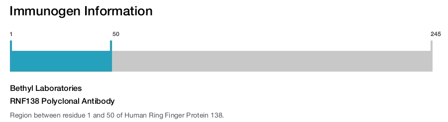 RNF138 Polyclonal Antibody