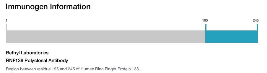 RNF138 Polyclonal Antibody