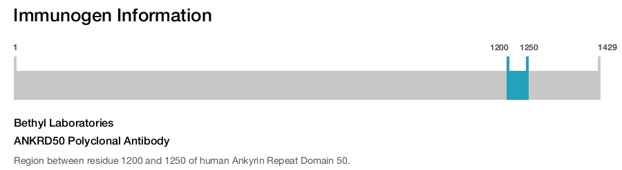 ANKRD50 Polyclonal Antibody