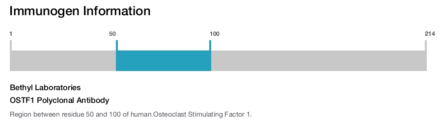 OSTF1 Polyclonal Antibody