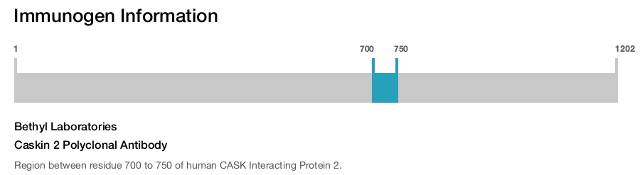 Caskin 2 Polyclonal Antibody
