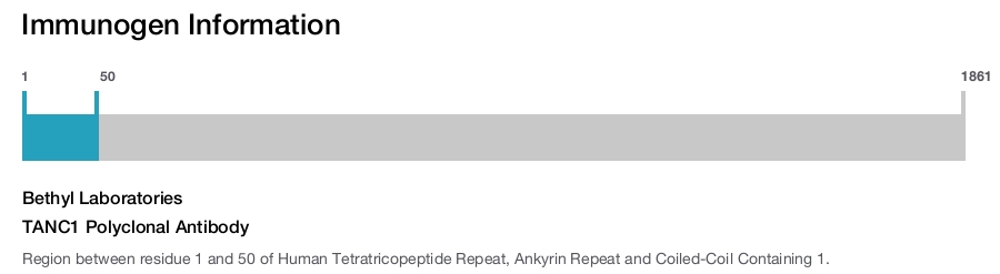 TANC1 Polyclonal Antibody