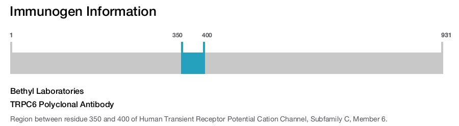 TRPC6 Polyclonal Antibody