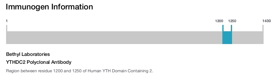 YTHDC2 Polyclonal Antibody
