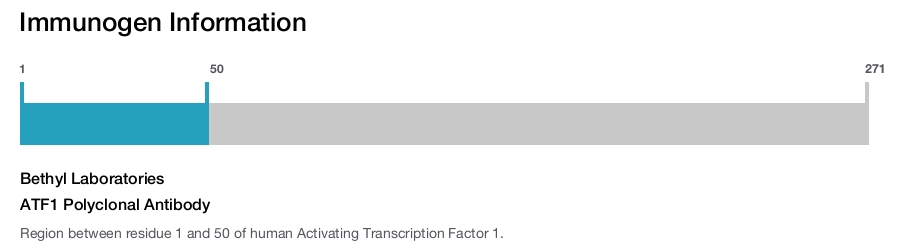 ATF1 Polyclonal Antibody
