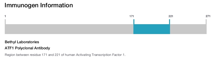 ATF1 Polyclonal Antibody