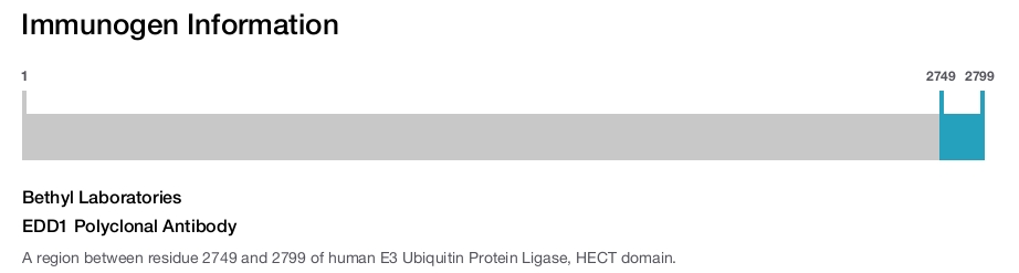 EDD1 Polyclonal Antibody