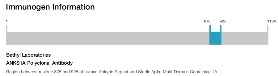ANKS1A Polyclonal Antibody