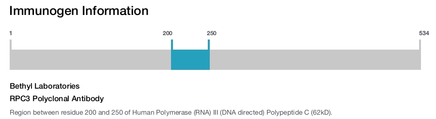 RPC3 Polyclonal Antibody