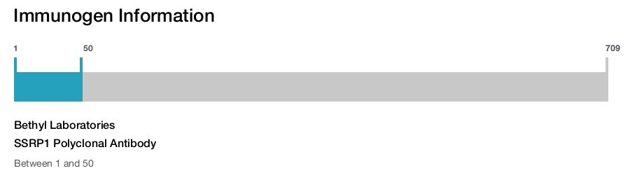 SSRP1 Polyclonal Antibody