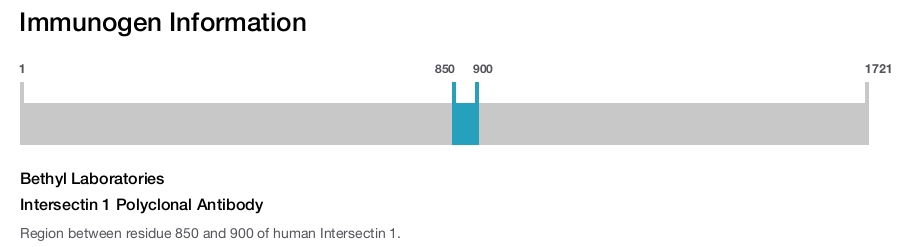 Intersectin 1 Polyclonal Antibody