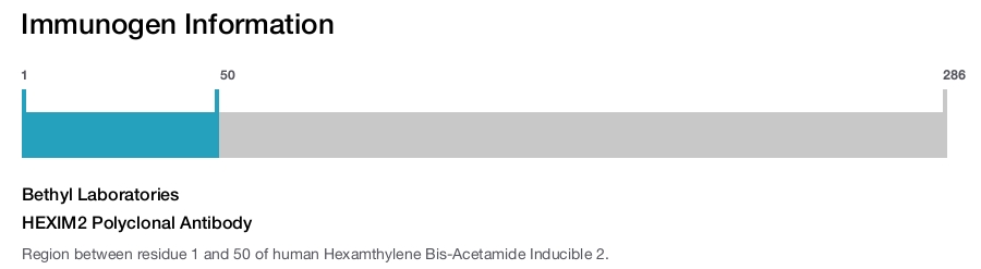 HEXIM2 Polyclonal Antibody