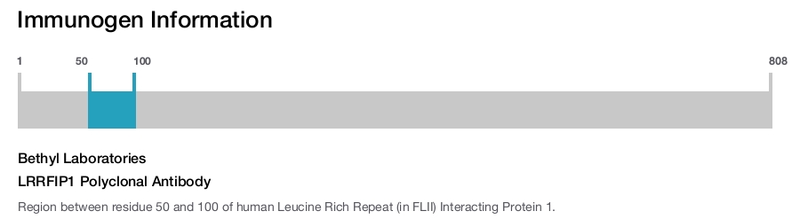 LRRFIP1 Polyclonal Antibody