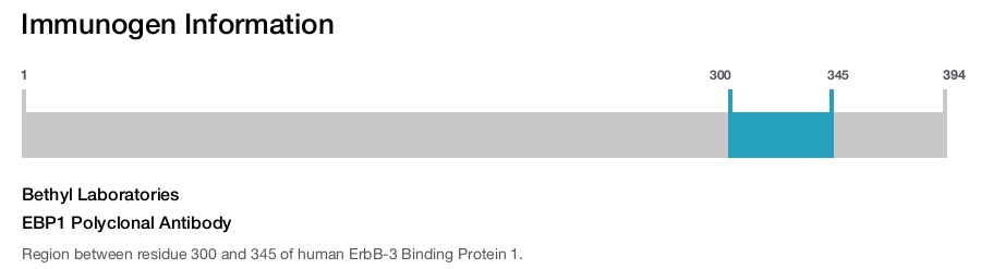EBP1 Polyclonal Antibody
