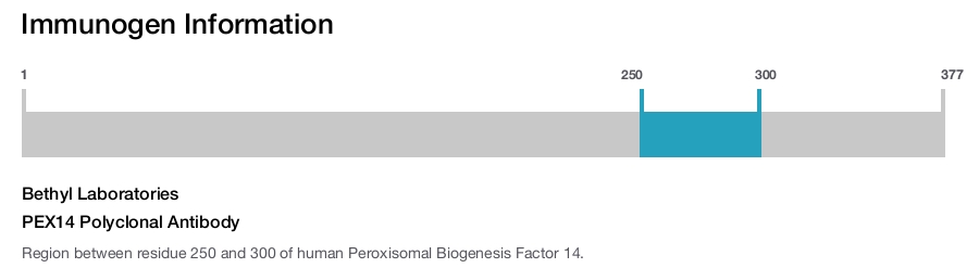 PEX14 Polyclonal Antibody