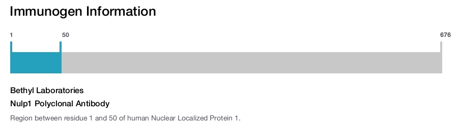 Nulp1 Polyclonal Antibody