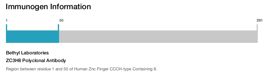 ZC3H8 Polyclonal Antibody