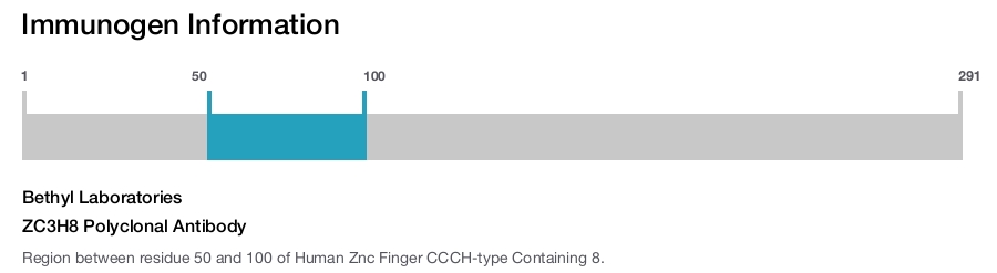 ZC3H8 Polyclonal Antibody