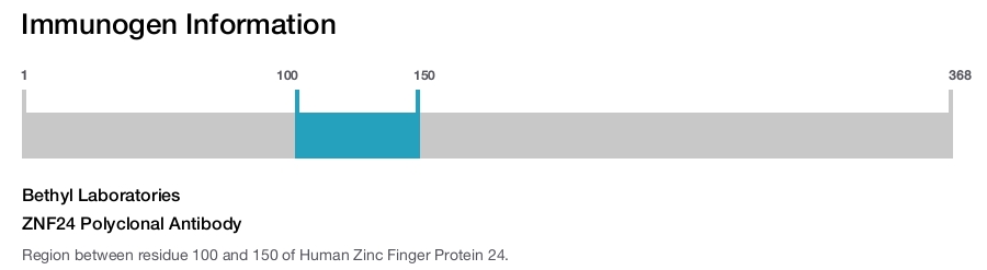 ZNF24 Polyclonal Antibody