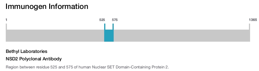 NSD2 Polyclonal Antibody