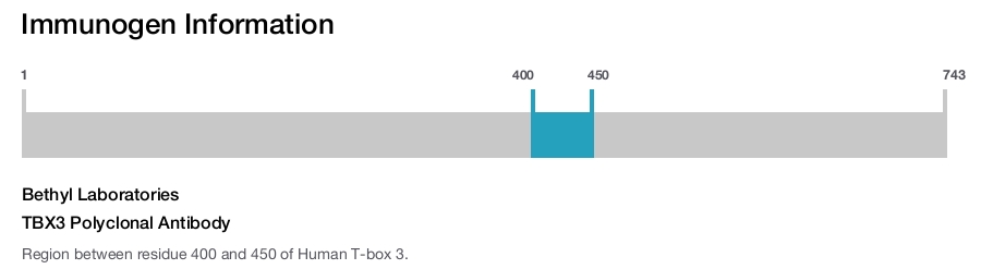 TBX3 Polyclonal Antibody