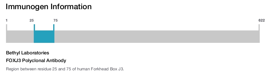 FOXJ3 Polyclonal Antibody
