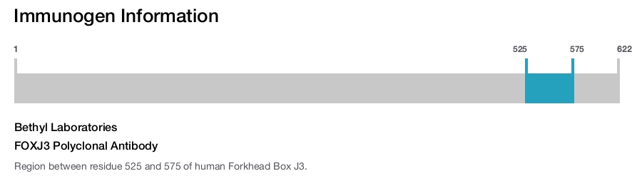FOXJ3 Polyclonal Antibody
