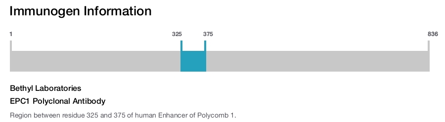 EPC1 Polyclonal Antibody