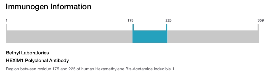 HEXIM1 Polyclonal Antibody