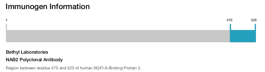 NAB2 Polyclonal Antibody