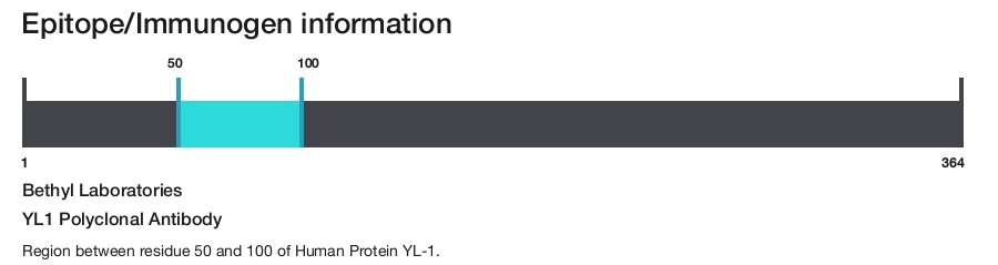 YL1 Polyclonal Antibody