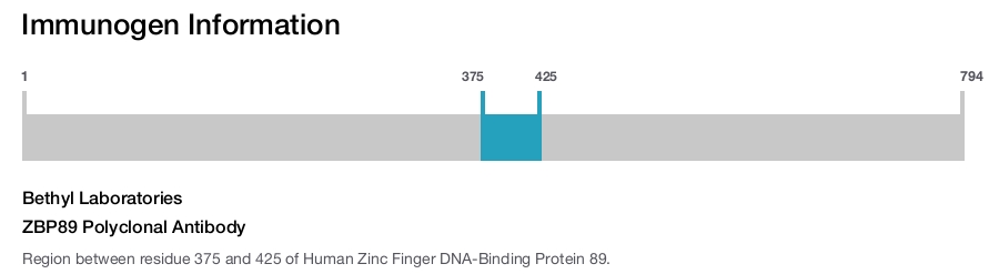 ZBP89 Polyclonal Antibody