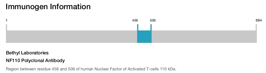 NF110 Polyclonal Antibody