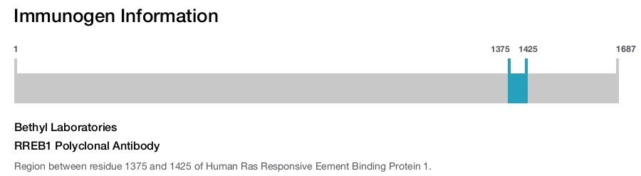 RREB1 Polyclonal Antibody