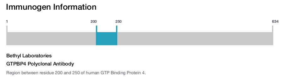 GTPBP4 Polyclonal Antibody