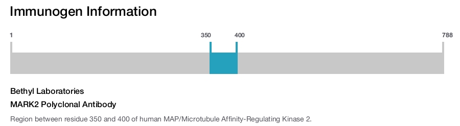 MARK2 Polyclonal Antibody