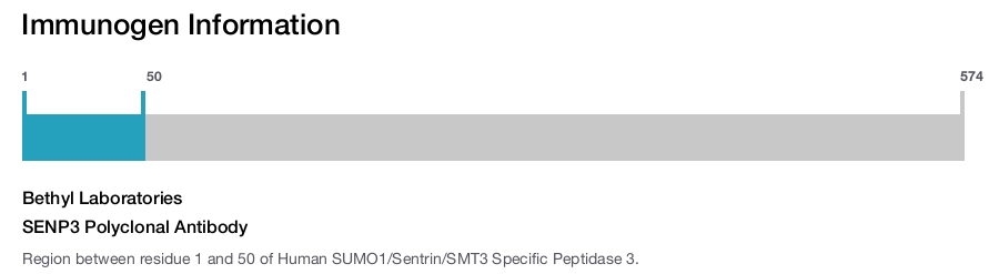 SENP3 Polyclonal Antibody